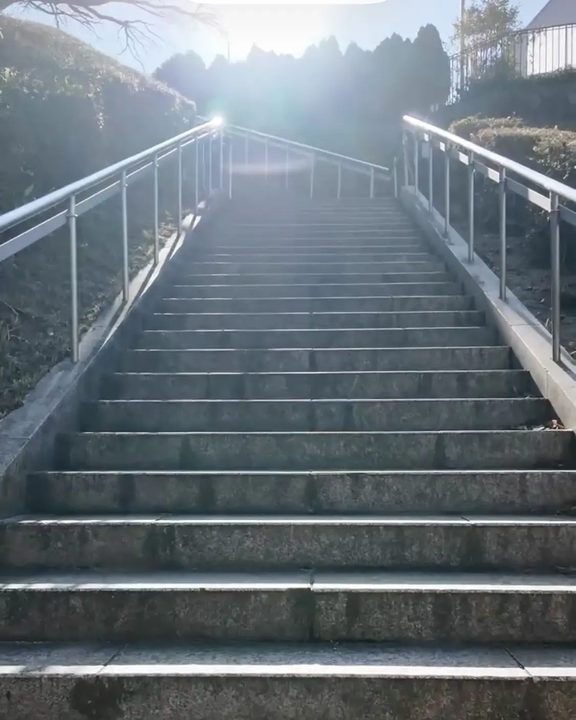 神戸北野テラス　ランチ