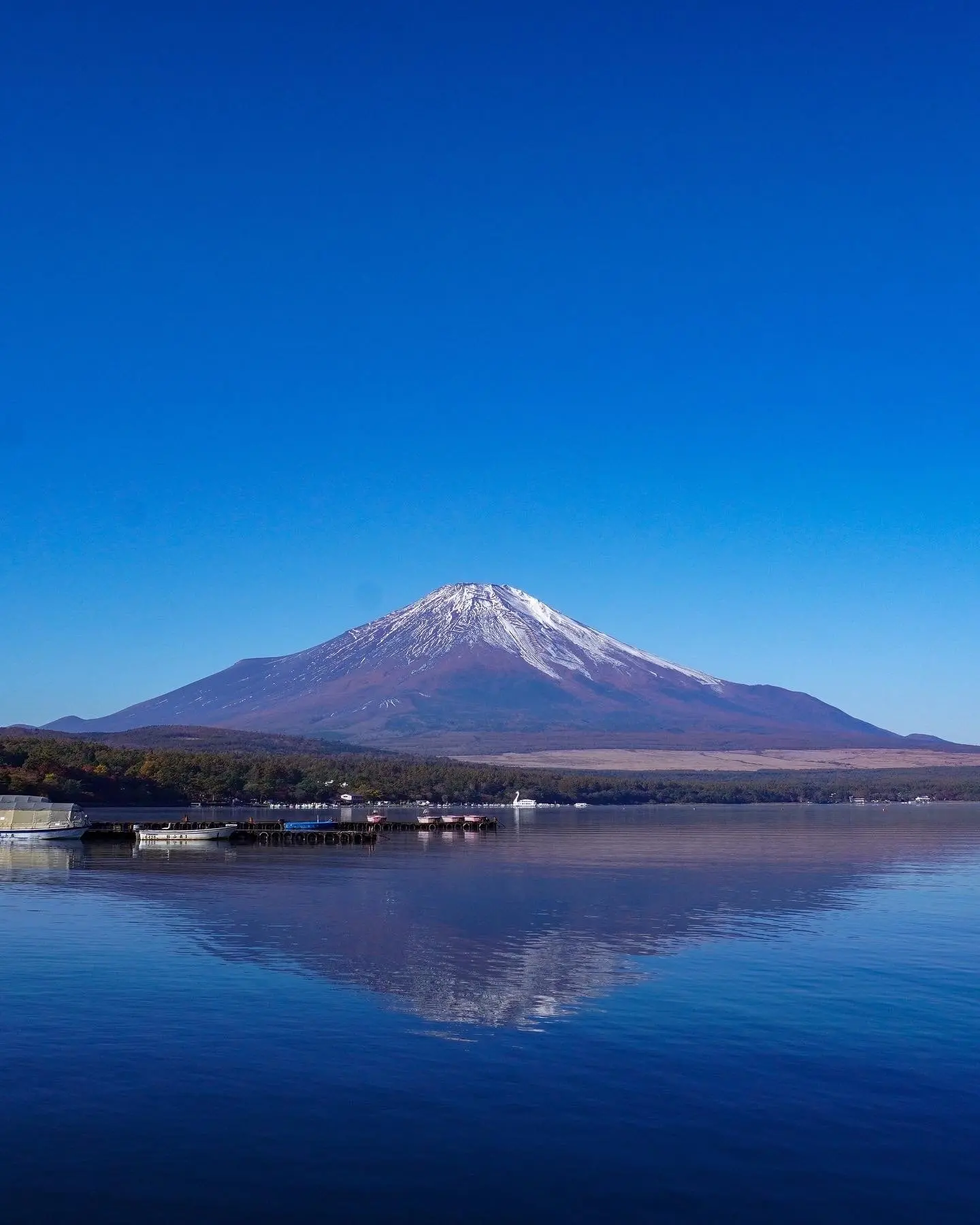 ワンコと泊まれる素敵なコテージ 山中湖_1_6