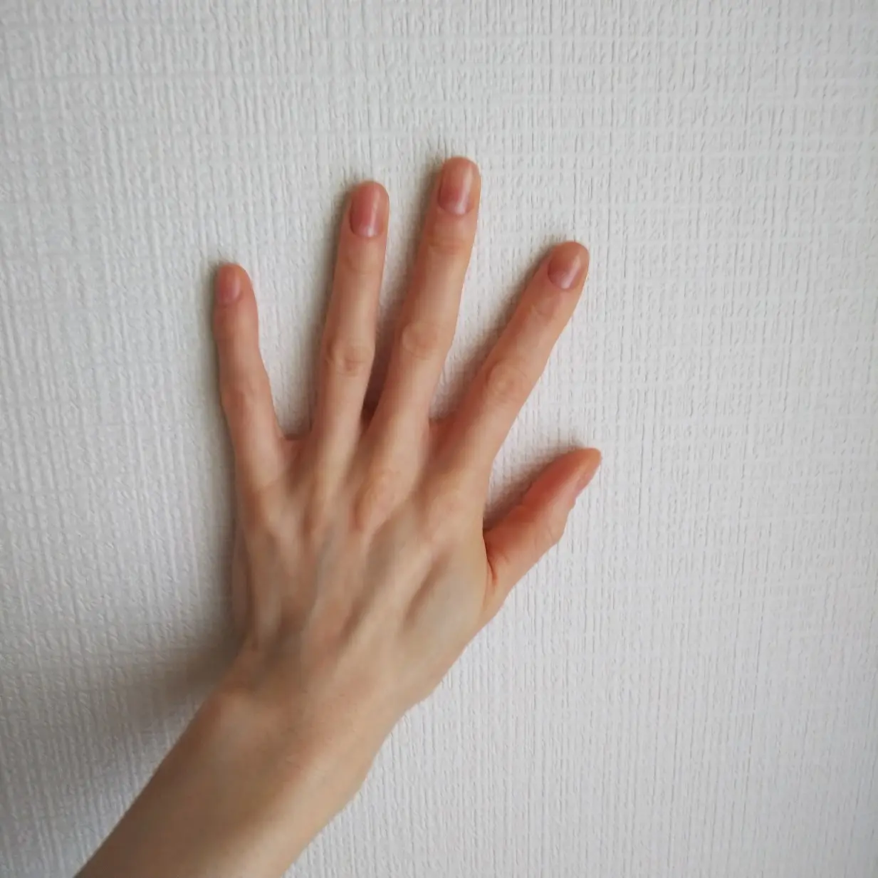 『きれいな手』_1_3