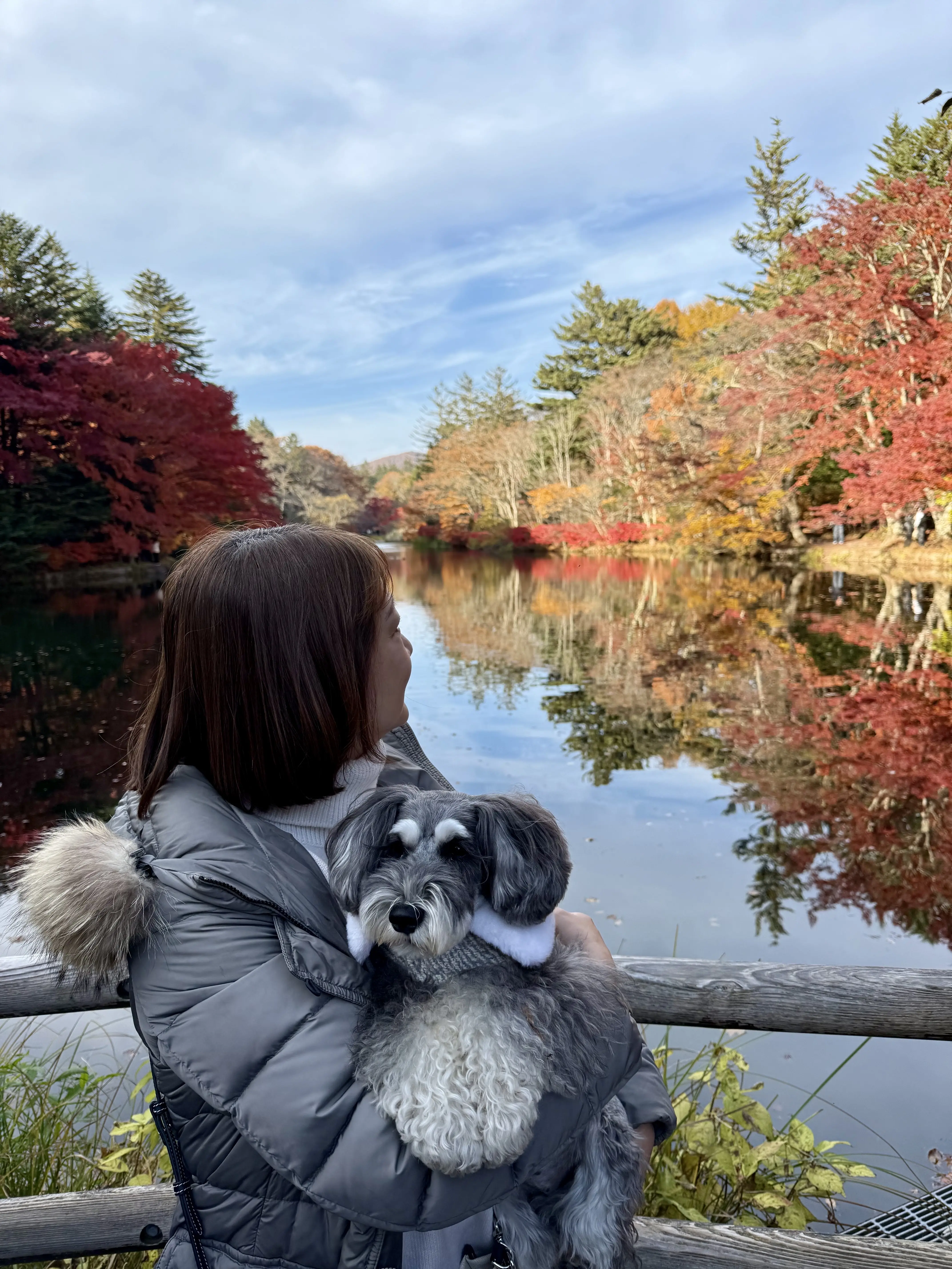 軽井沢　雲場池　紅葉　梅澤千佳子