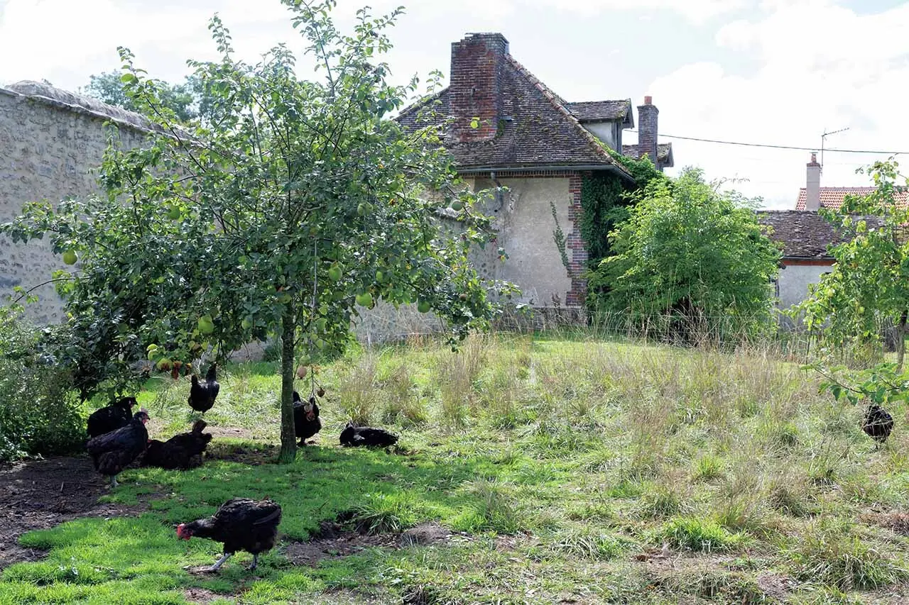 パリか らたった1時間とは思えないほどの豊か な田園風景が随所に