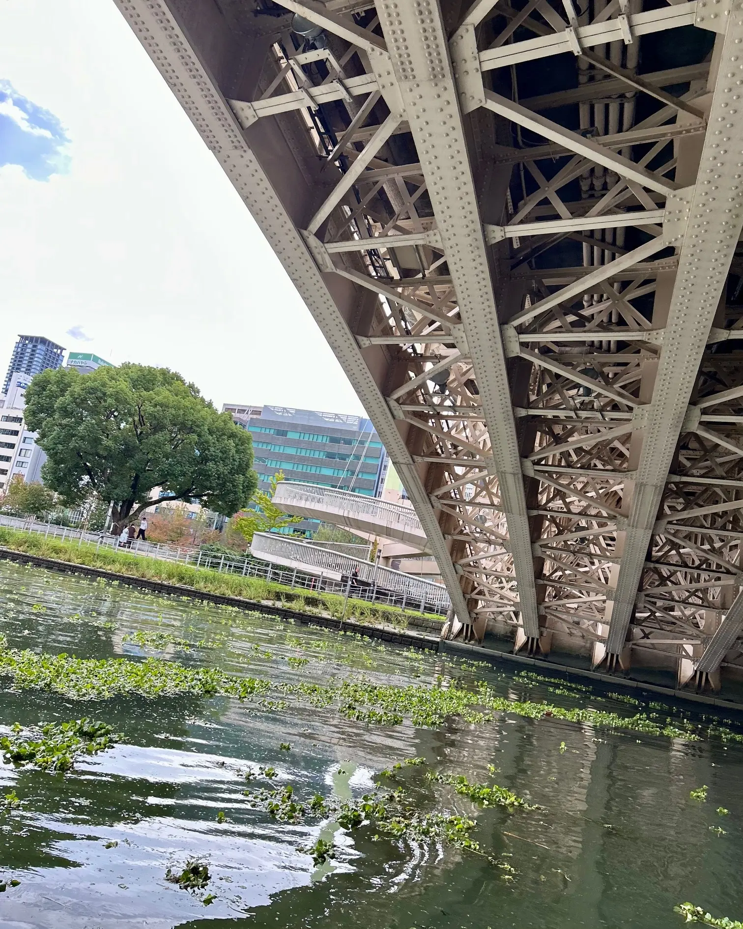 大阪・中之島の魅力を楽しむユニークなリバークルーズを体験！_1_5