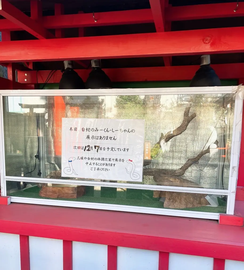 蛇窪神社　初詣　巳年　白蛇様　御朱印　御朱印帳　御朱印袋　Afternoon Tea パワースポット　一粒万倍　東京の蛇神様　jマダム 