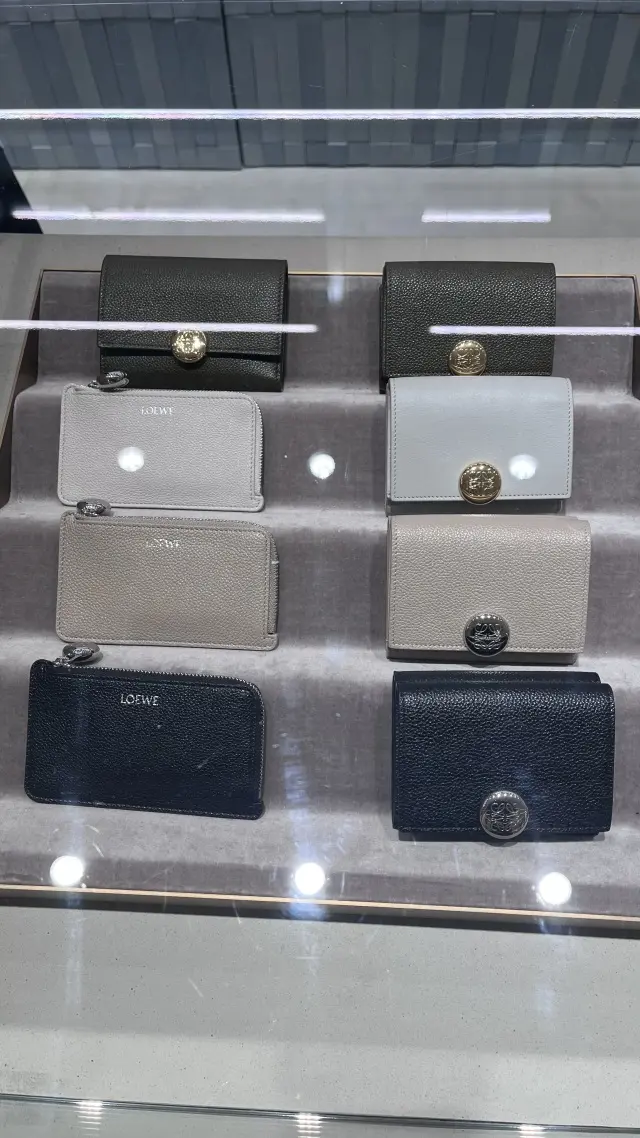 ロエベの気になるスモールウォレット_1_7