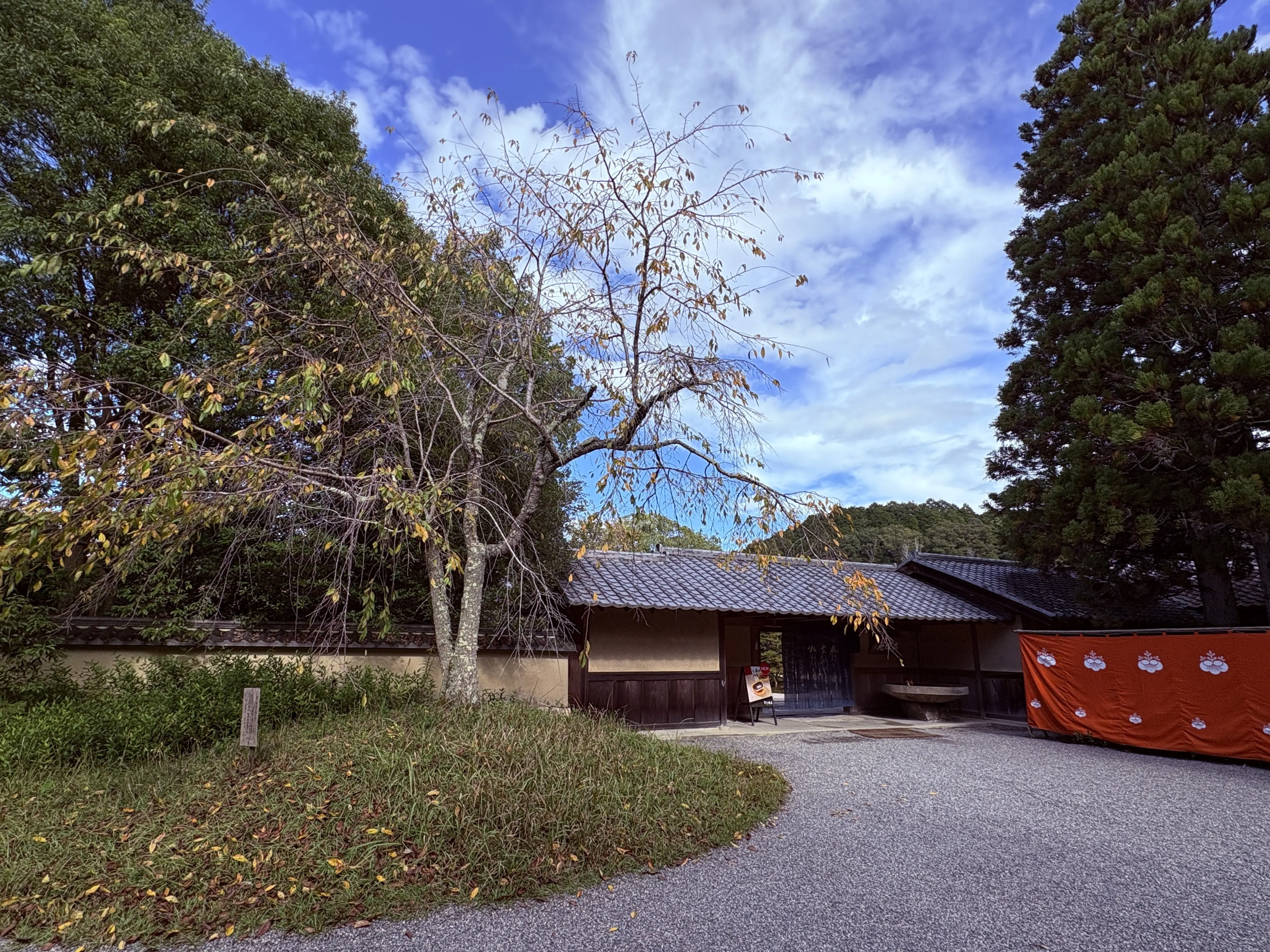 「父の誕生日ドライブ　―寿長生の里で過ごす、やさしい一日―」_1_2-2