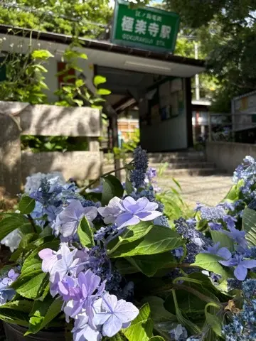 鎌倉紫陽花と続・続・最後から二番目の恋ロケ地巡り_1_9