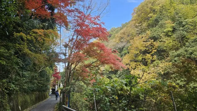 UNIQLO感謝祭戦利品とお気に入りスニーカーを身に付け秋を堪能@摂津峡_1_2