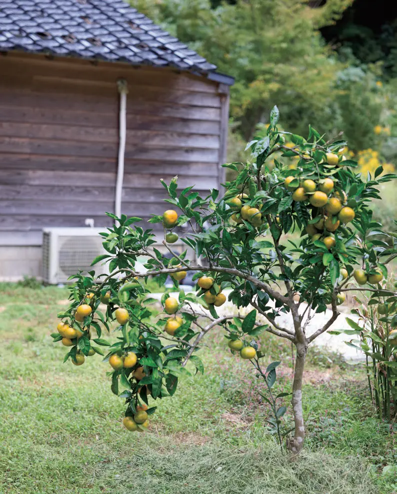 能登　国内旅行　自然豊かな工房 kota glass　有永浩太
