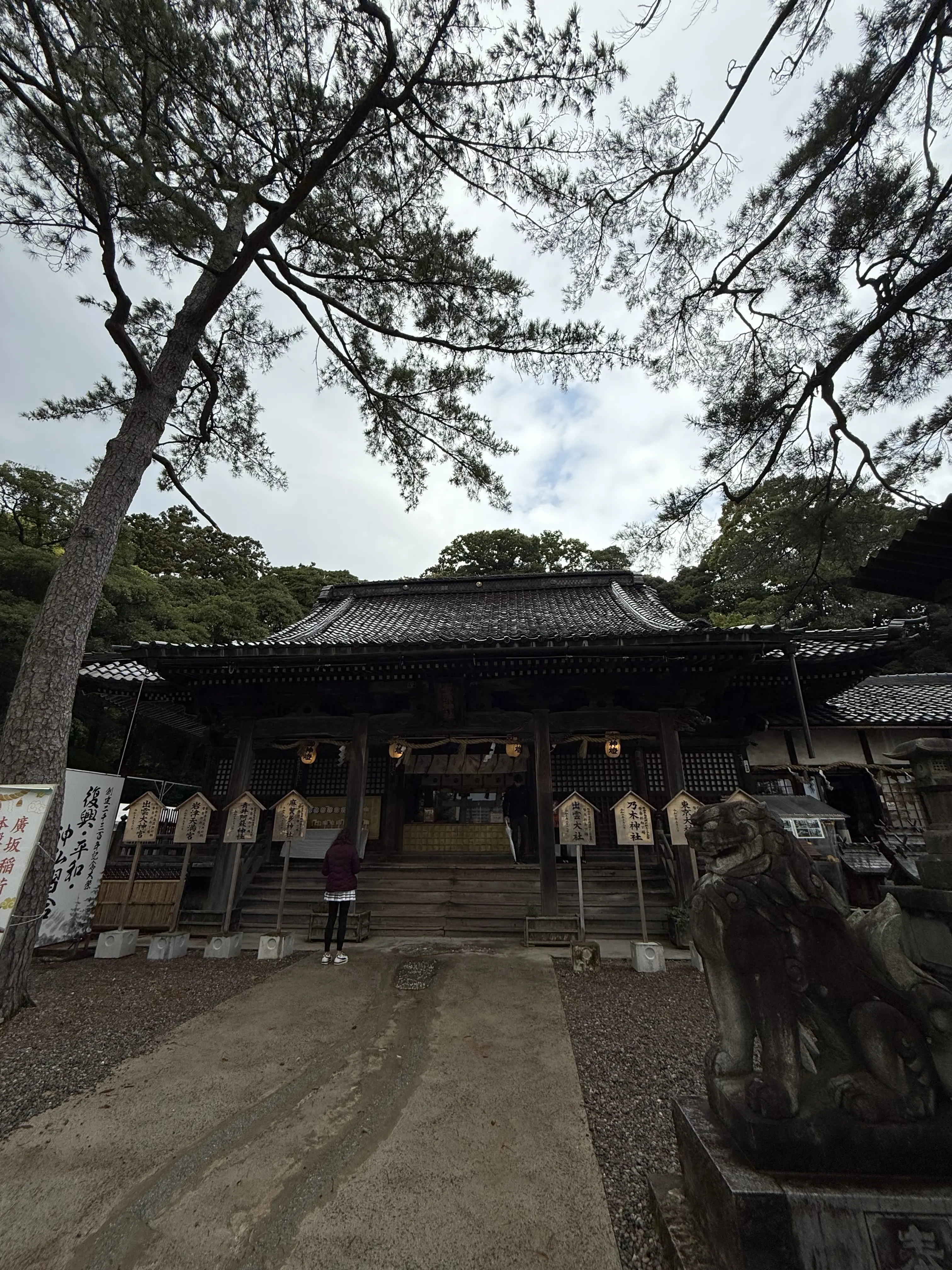 石川県　金沢市　金沢観光　石川県立図書館　建築美　金澤神社　金沢神社　石浦神社　神社巡り　白蛇龍神　白蛇　金沢観光スポット　水みくじ