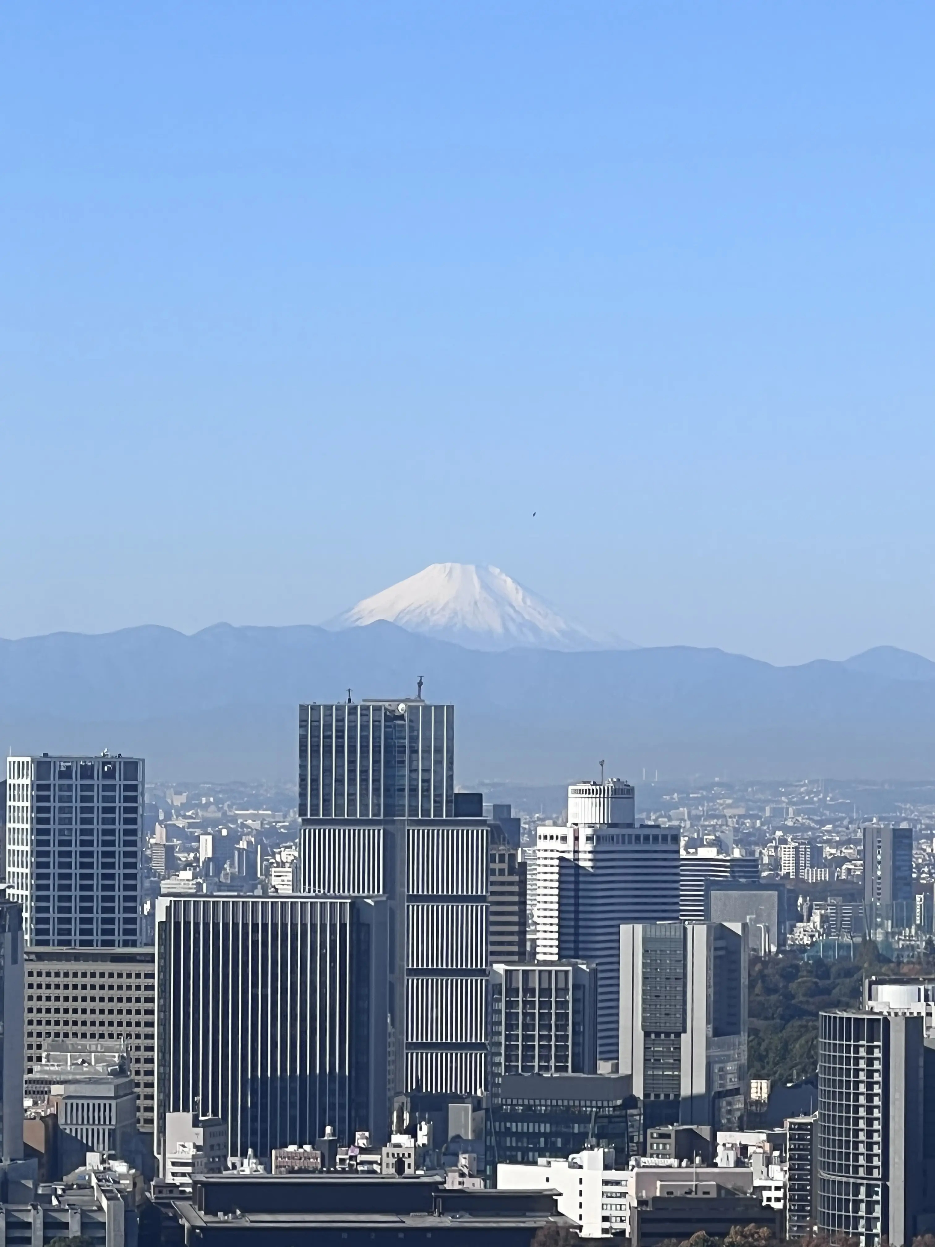 フォーシーズンズ東京大手町の部屋から見える富士山