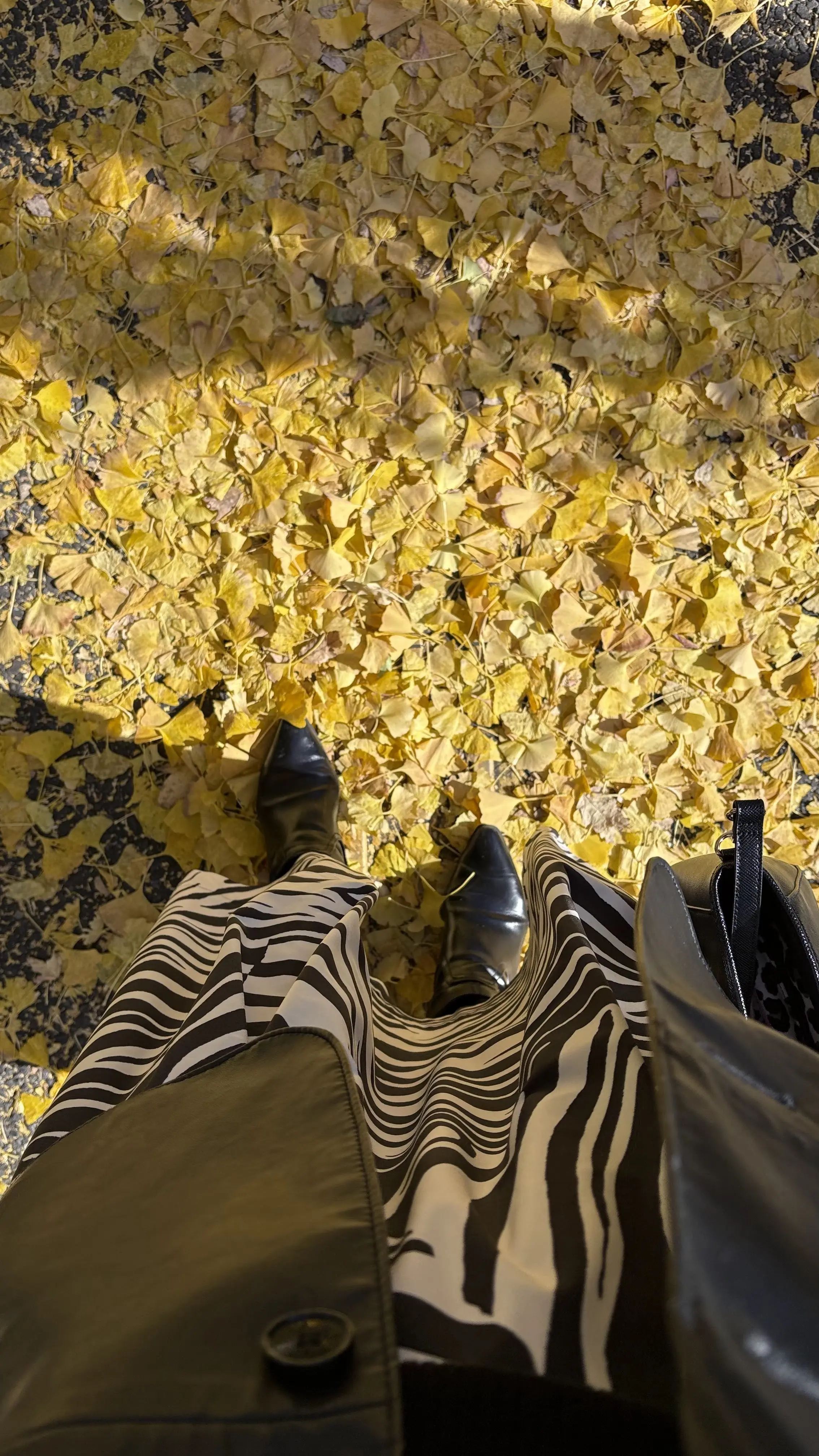 紅葉の絨毯　コーディネート　モノトーンコーデ