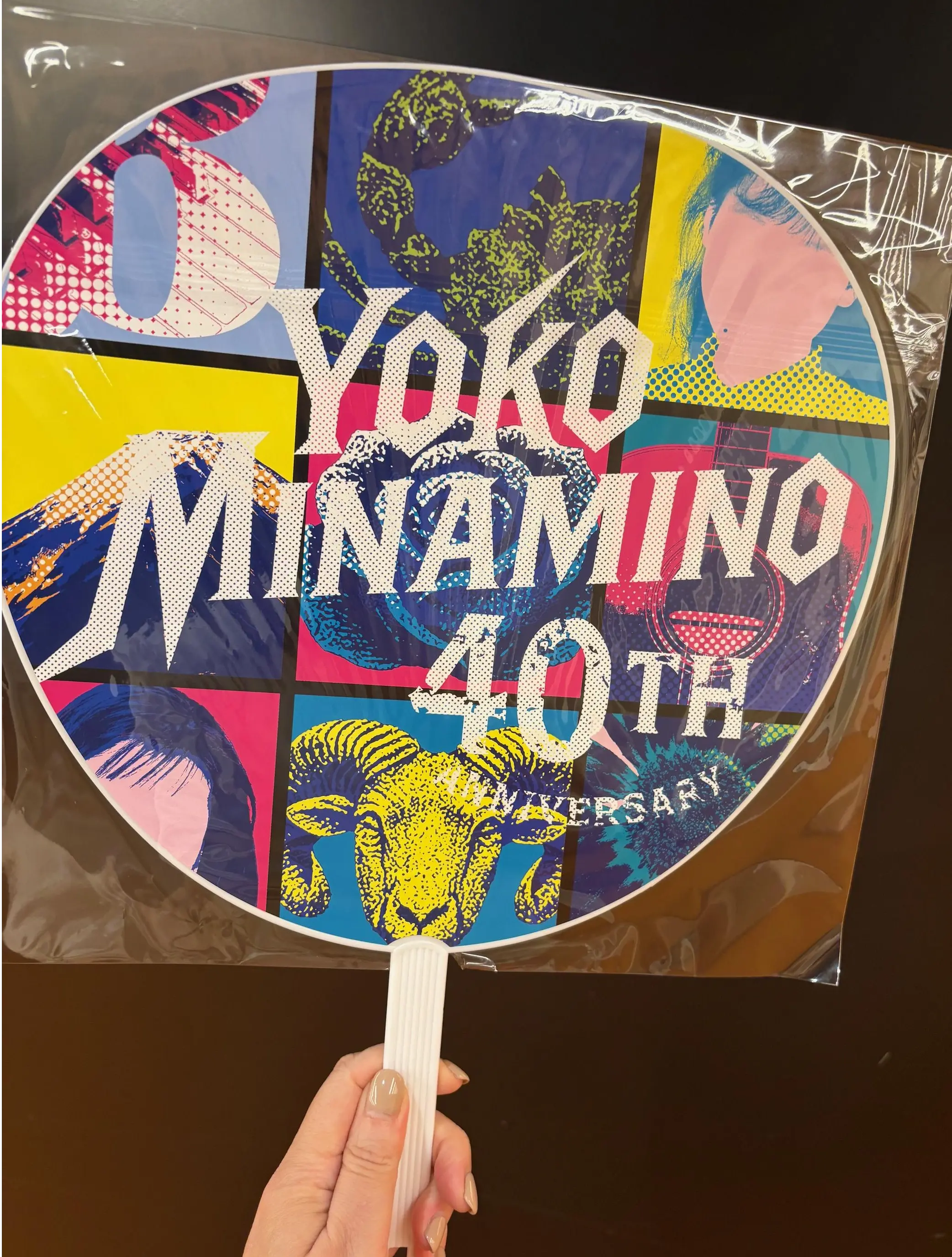 南野陽子　40周年コンサート