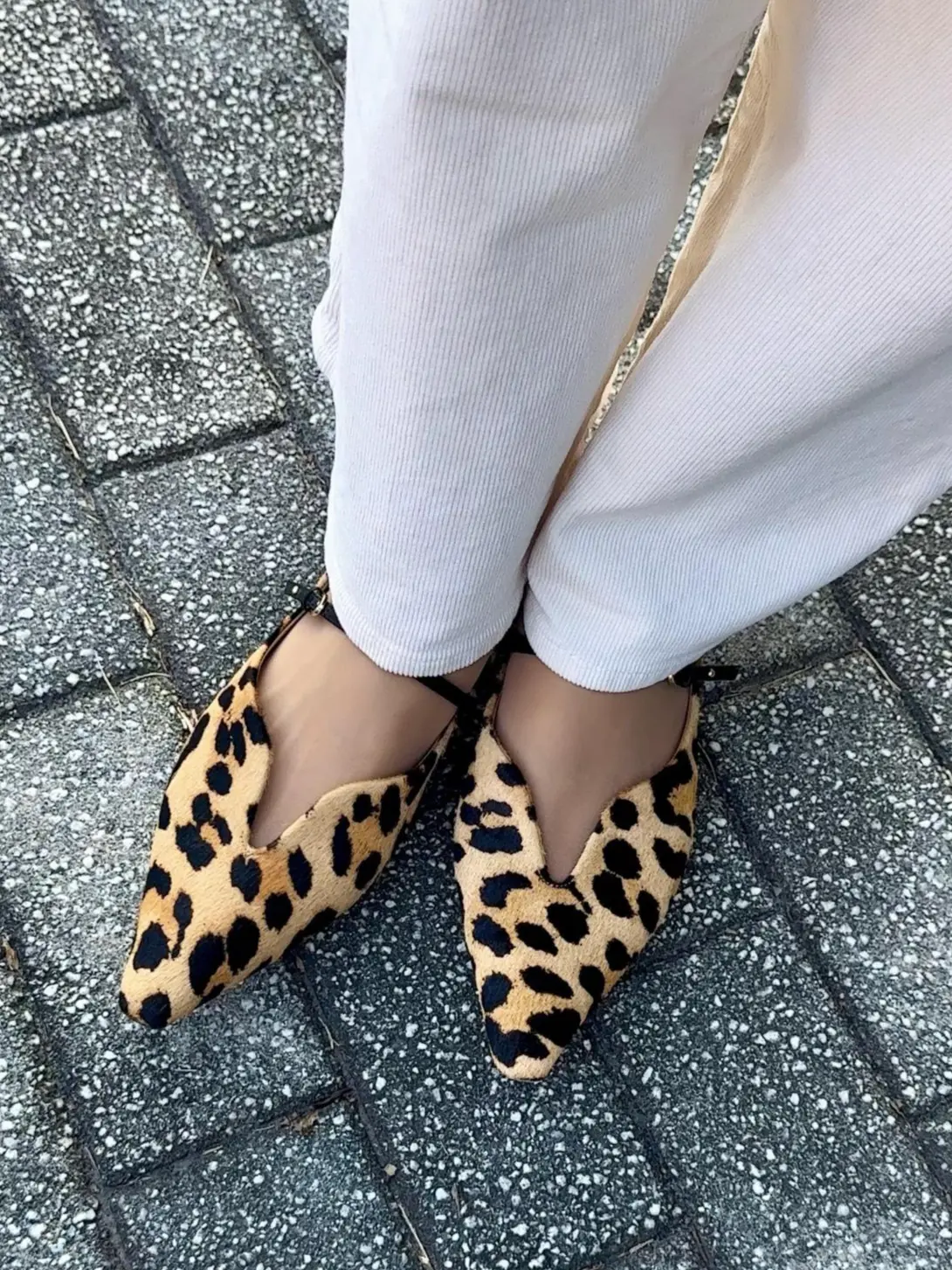 【私のイチオシ！】横浜の隠れた名店「OSTERIA il FUOCO」はやっぱり最高！_1_15