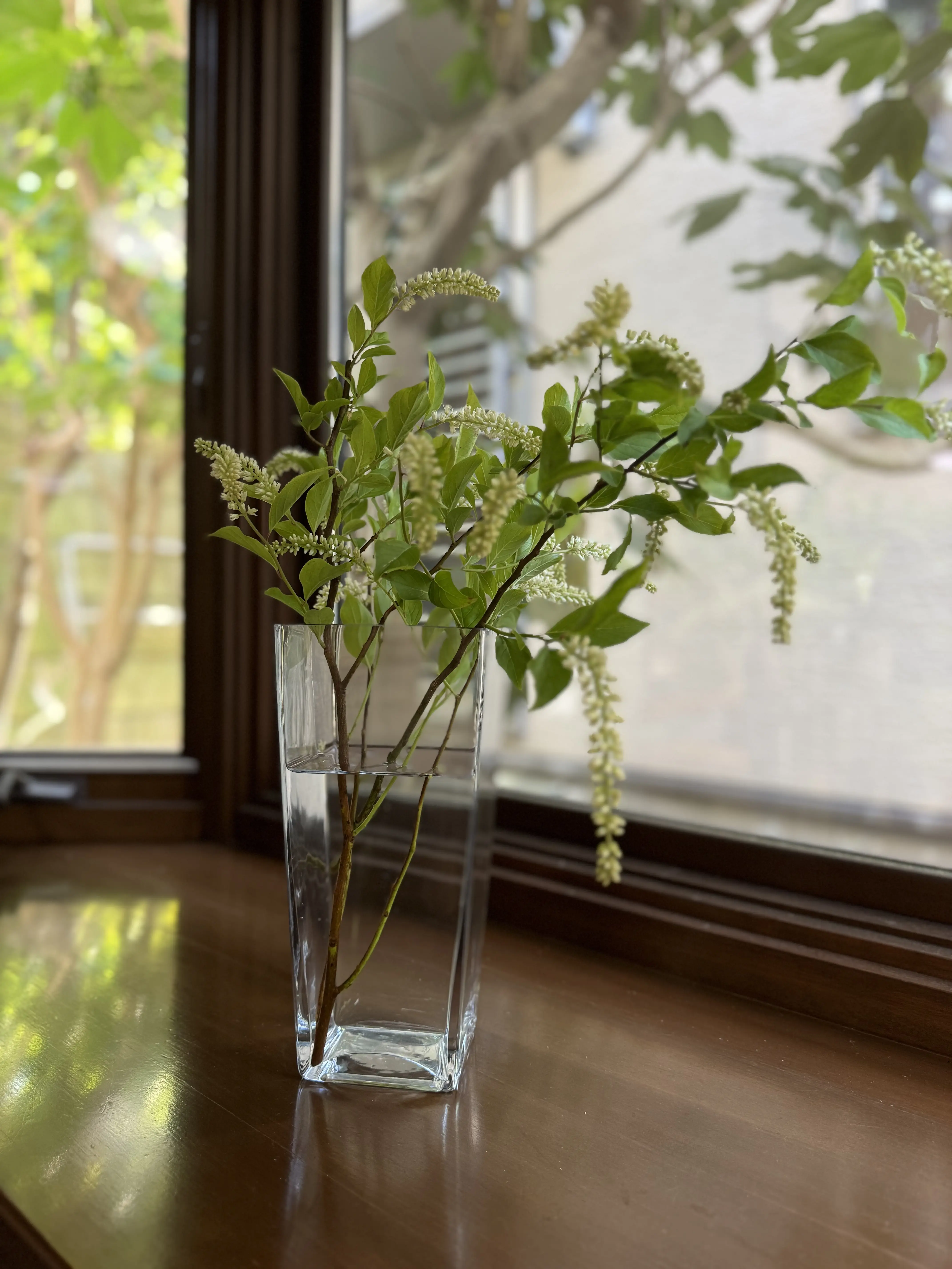 涼を呼ぶグリーンや花を部屋に♪_1_4