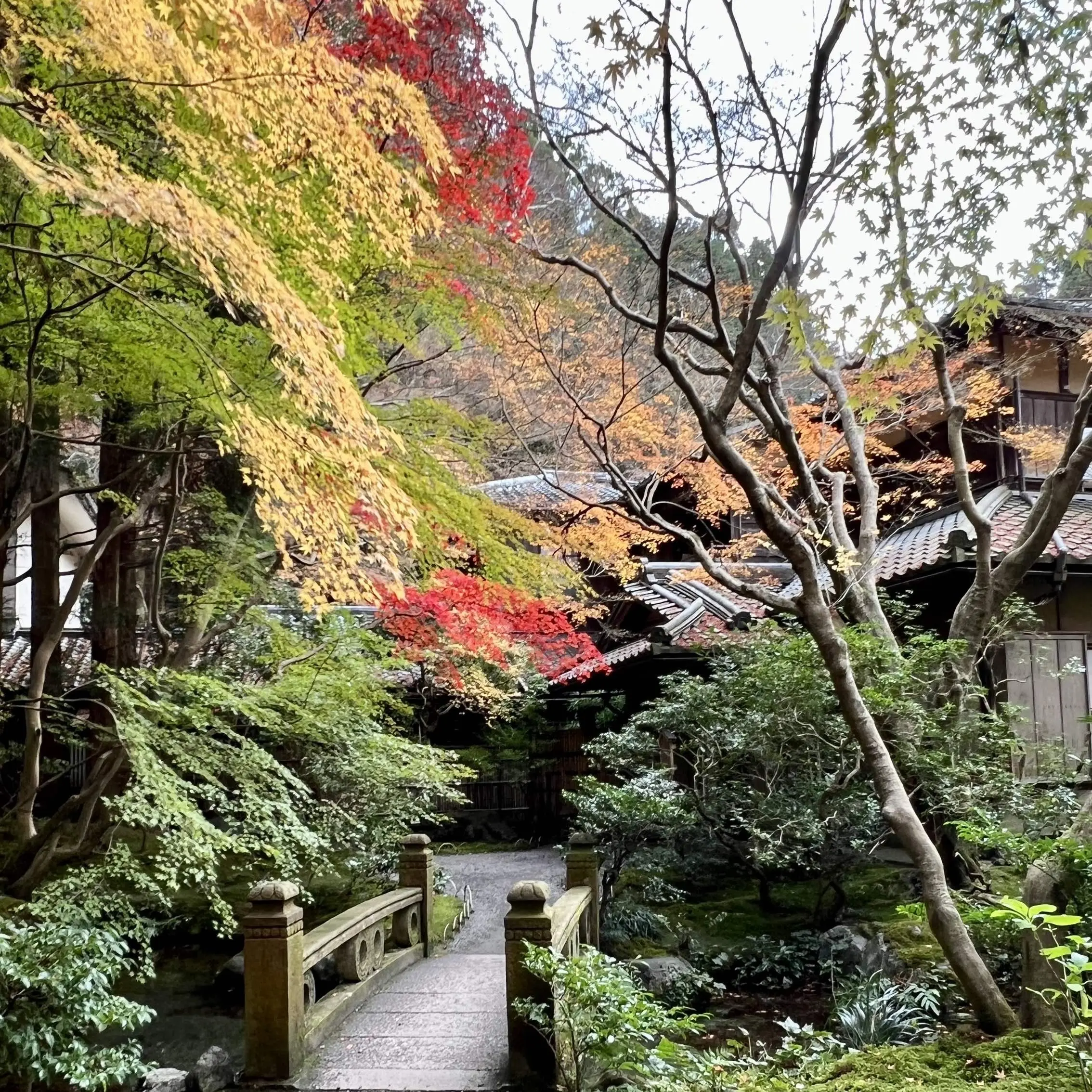 秋の景色を楽しむ♡京都の紅葉_1_4