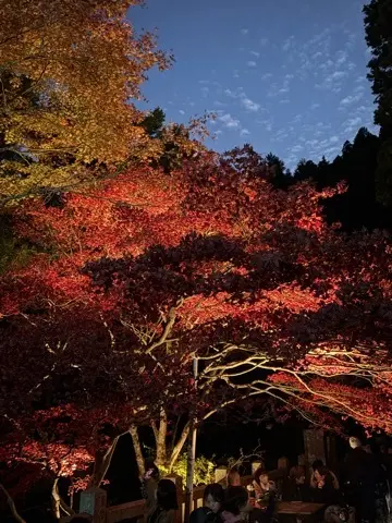 想像以上の絶景に出会えた神奈川の紅葉の見どころ〜大山編〜_1_3