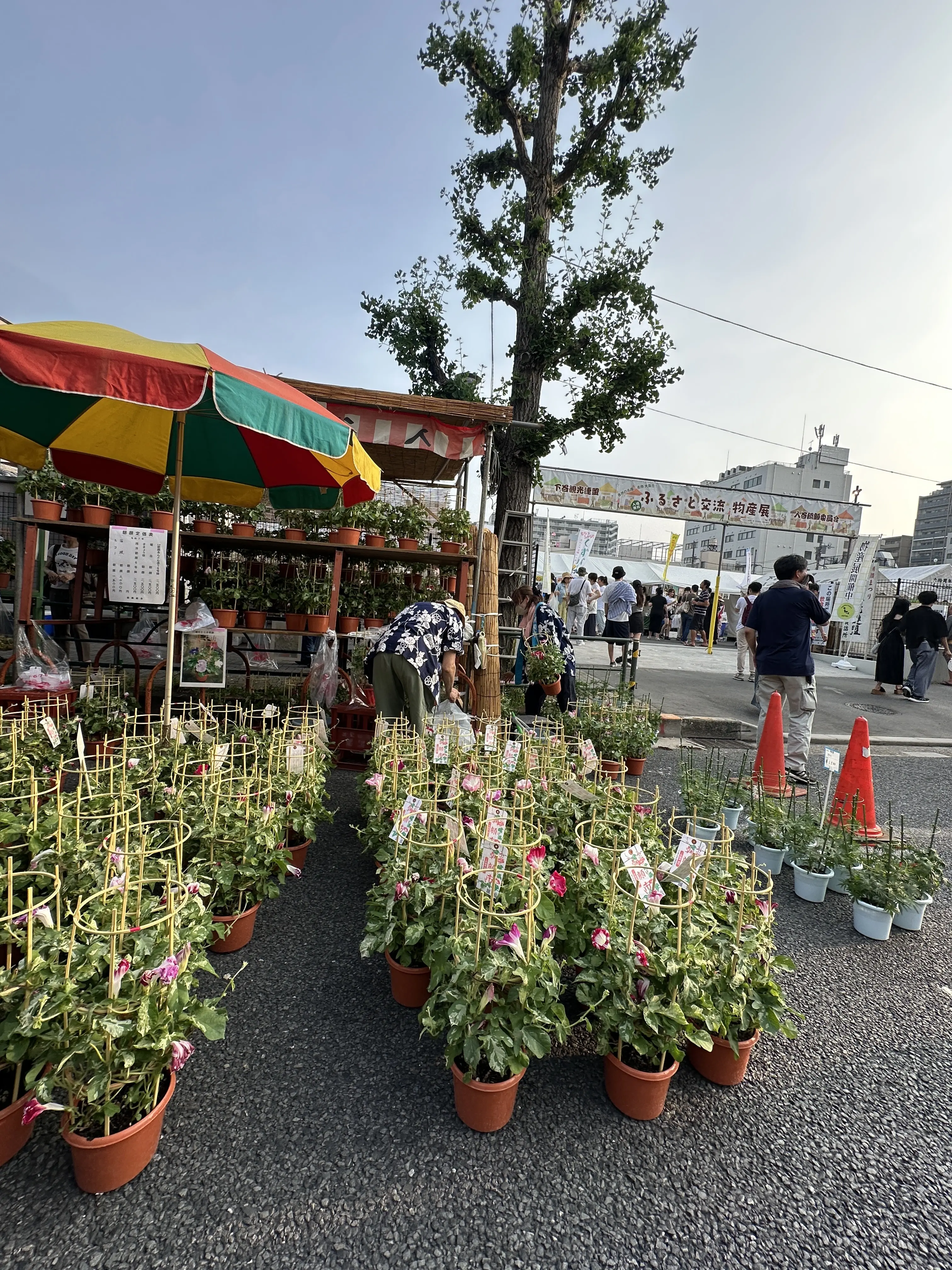 物産展