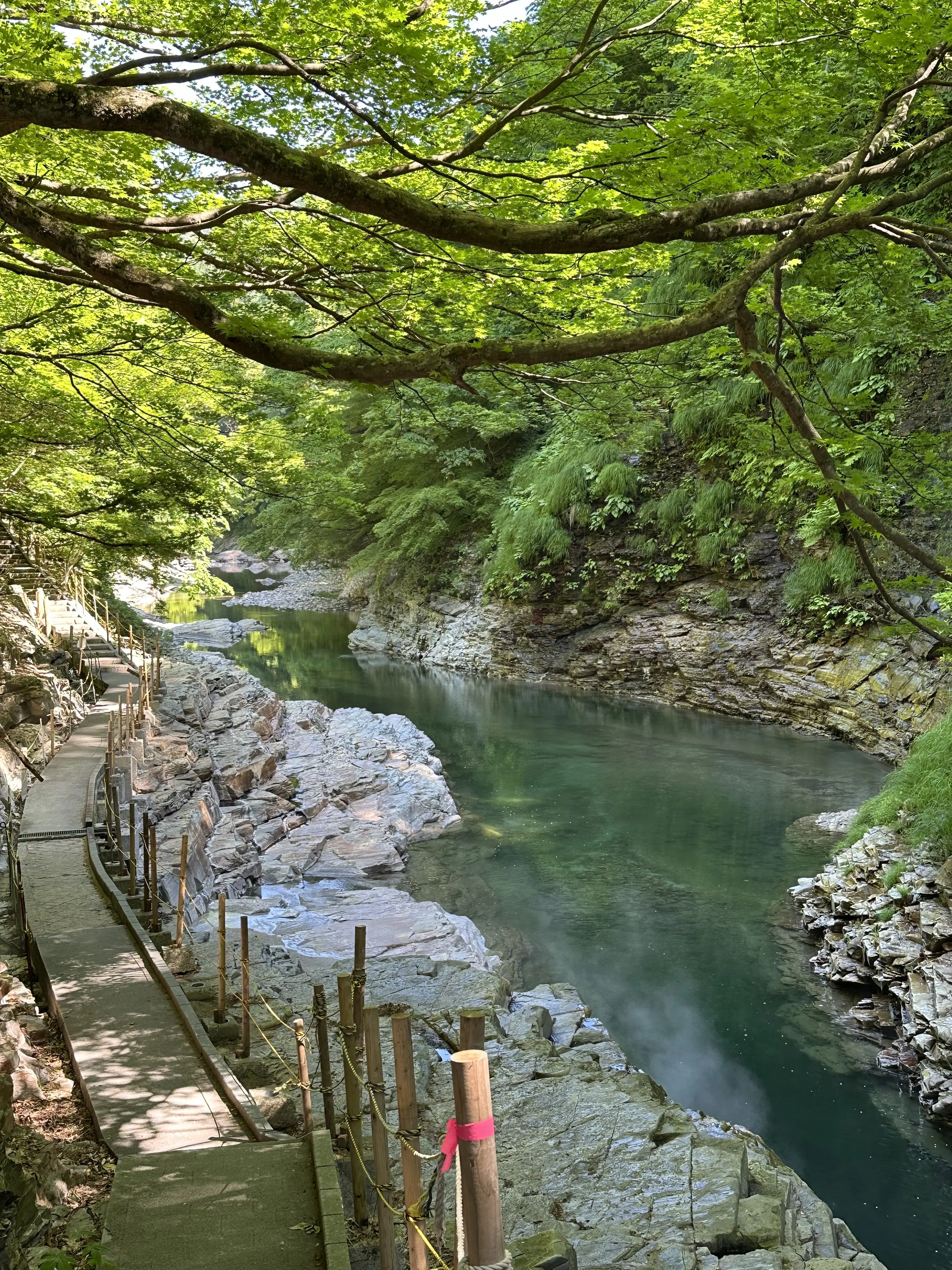 【秋田】雄大な自然と温泉を楽しむ旅ー秋田県小安峡温泉_1_44