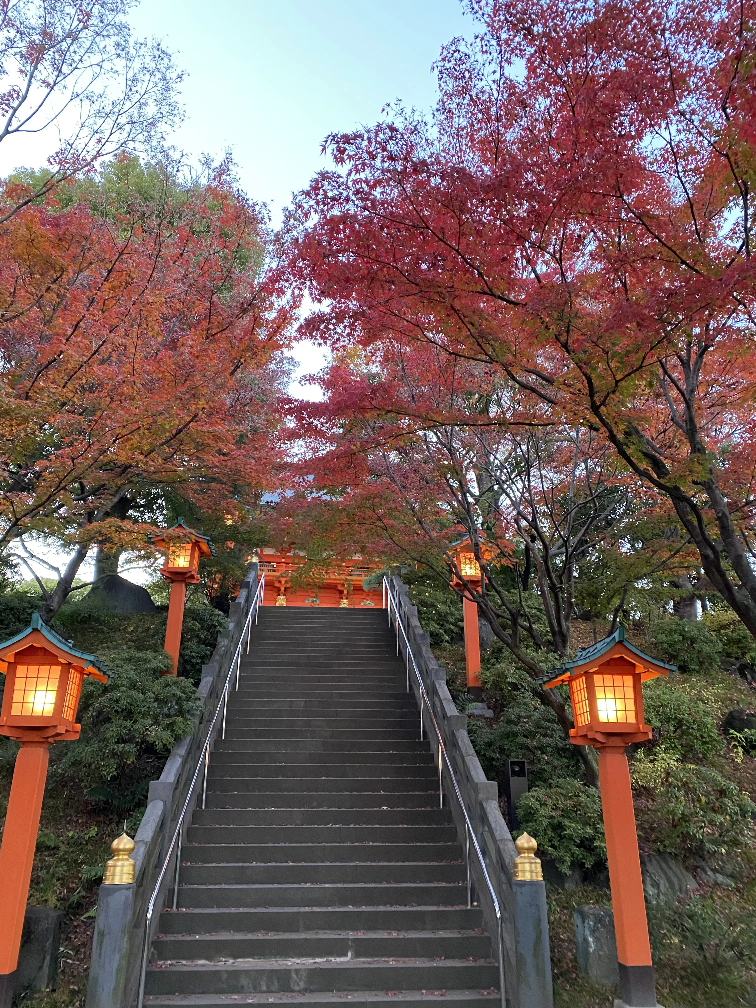 早稲田の穴八幡宮の参道。朱色の灯籠と石段、鮮やかな紅葉が並ぶ秋の絶景スポット。冬至の一陽来復で有名な穴八幡宮の紅葉写真