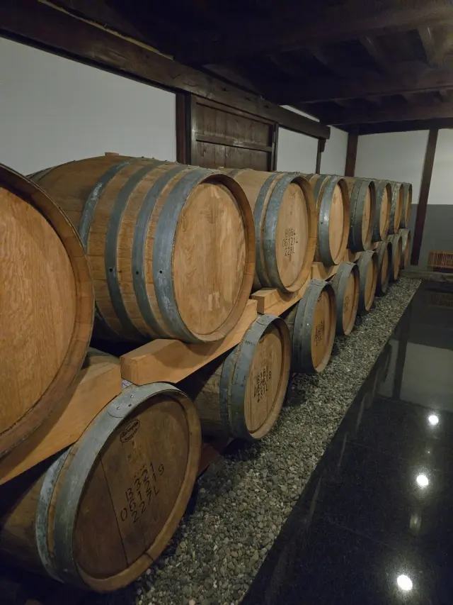 ワインツーリズム やまなし・秋 2025 勝沼_1_2