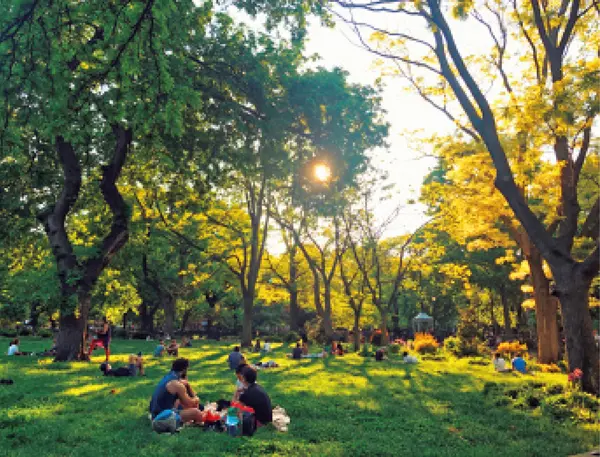 公園の再開でピクニックは大人気となっている
