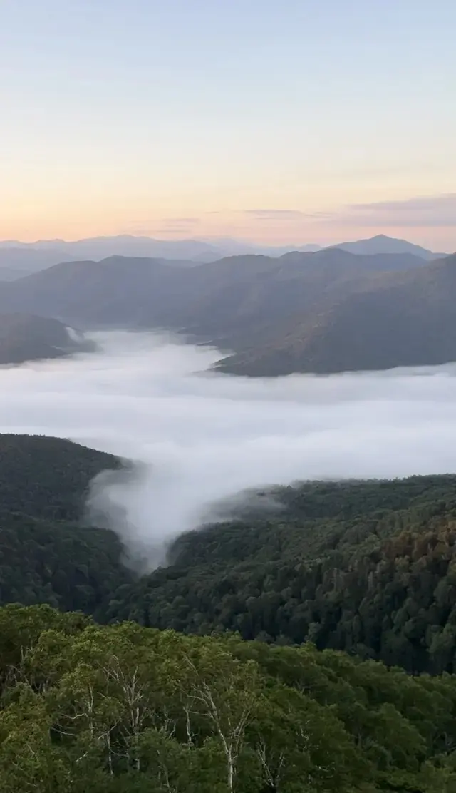 北海道 トマムで雲海 