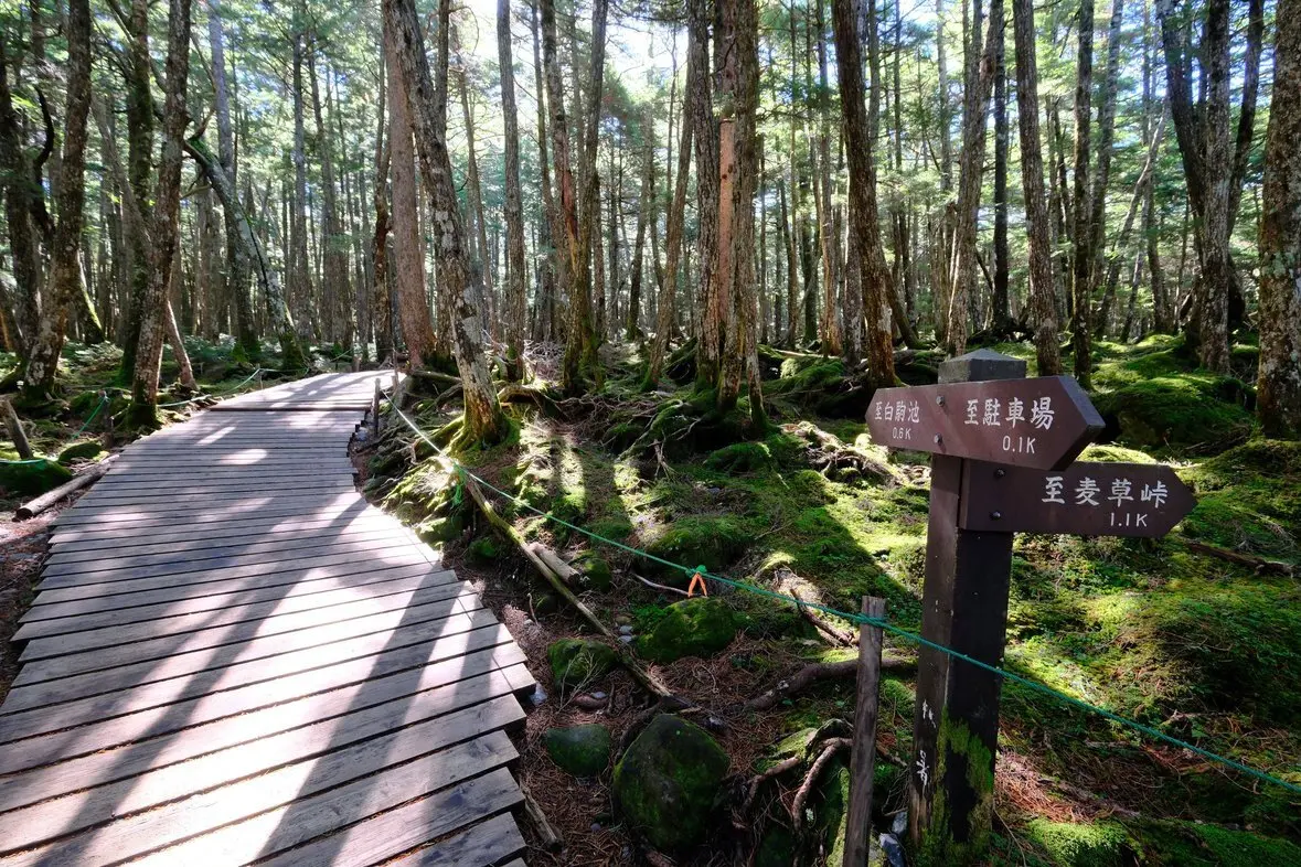 白駒池