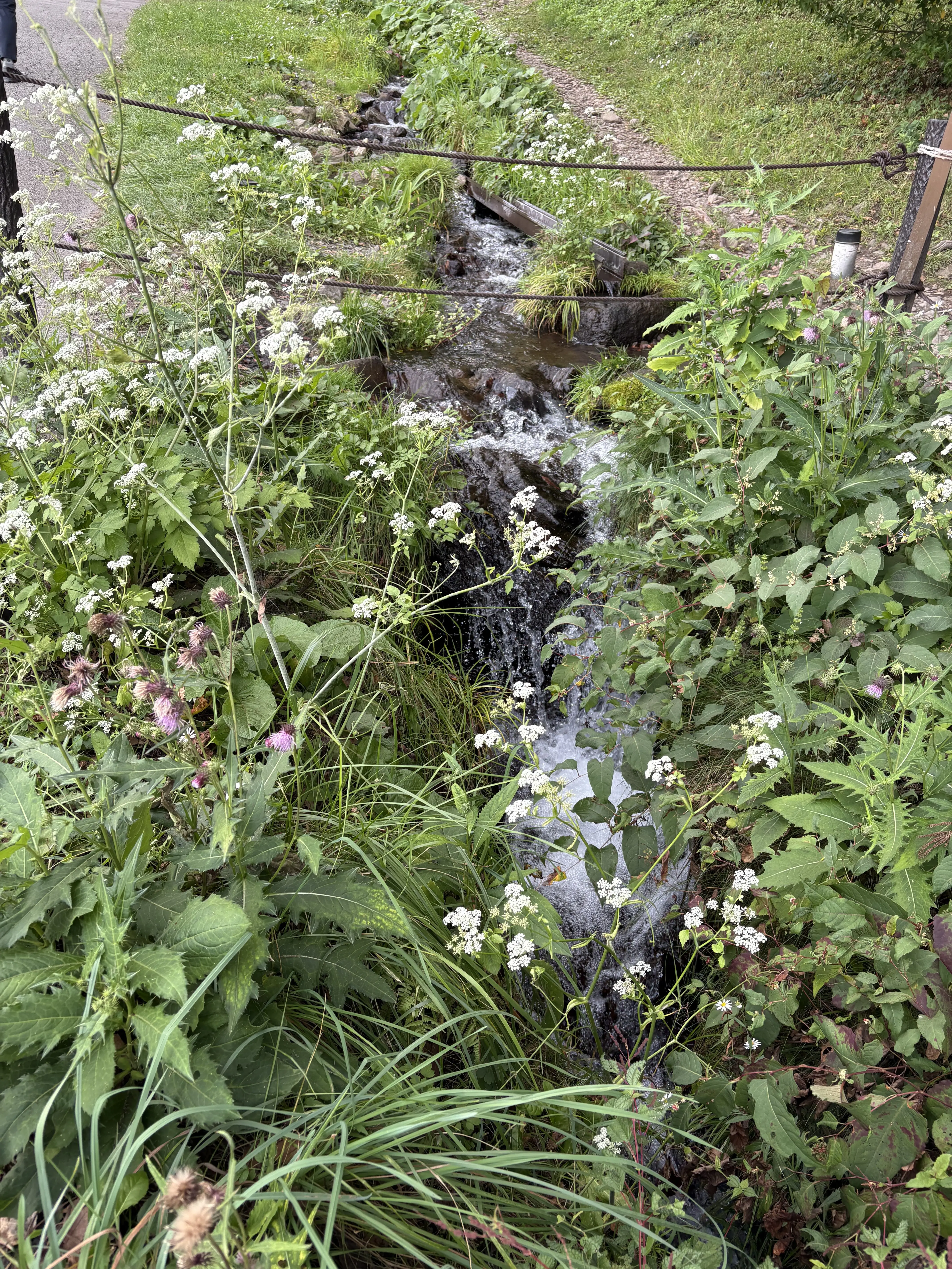 諏訪大社　長野　上社前宮