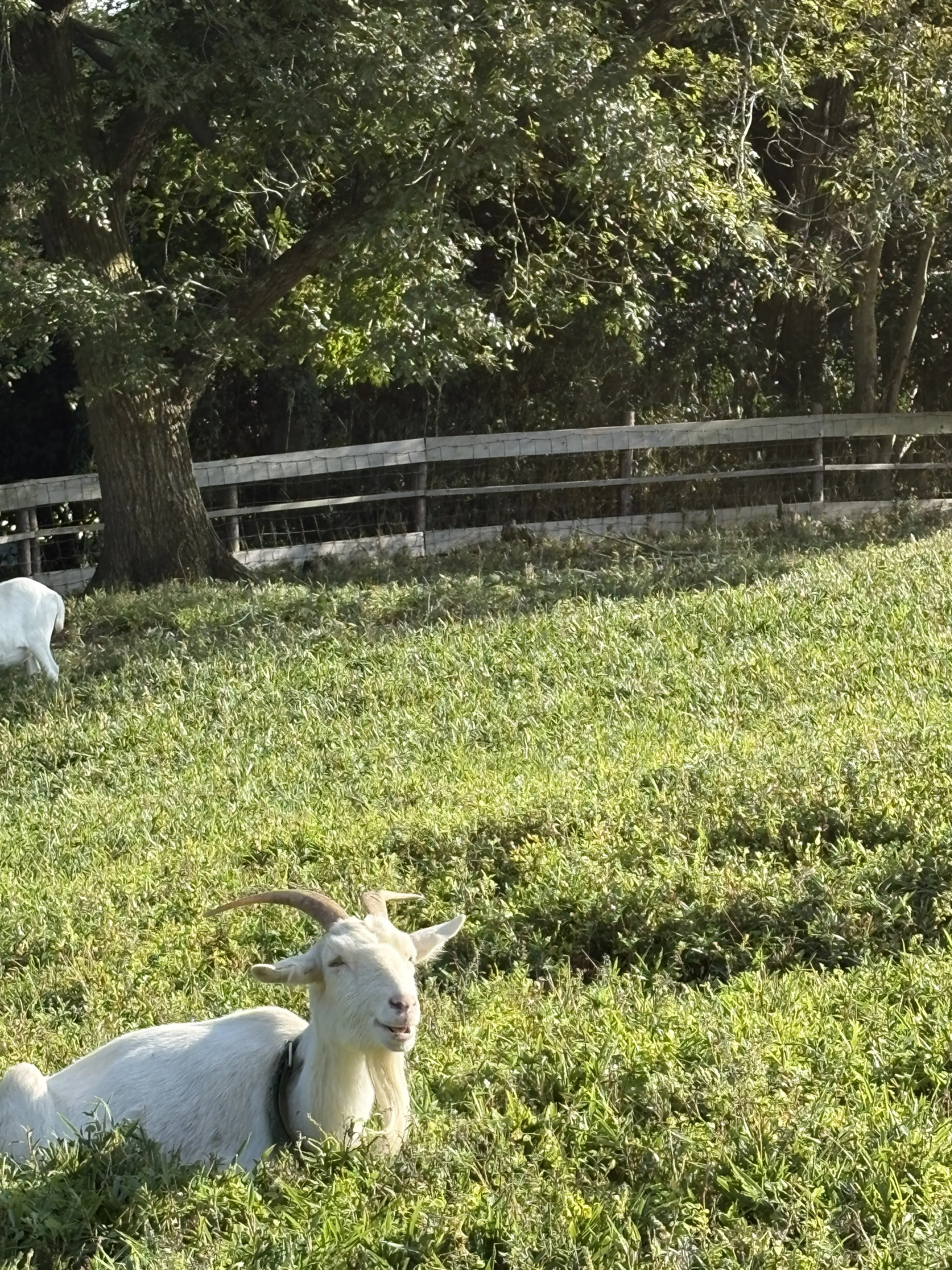 「父の誕生日ドライブ　―寿長生の里で過ごす、やさしい一日―」_1_2-3