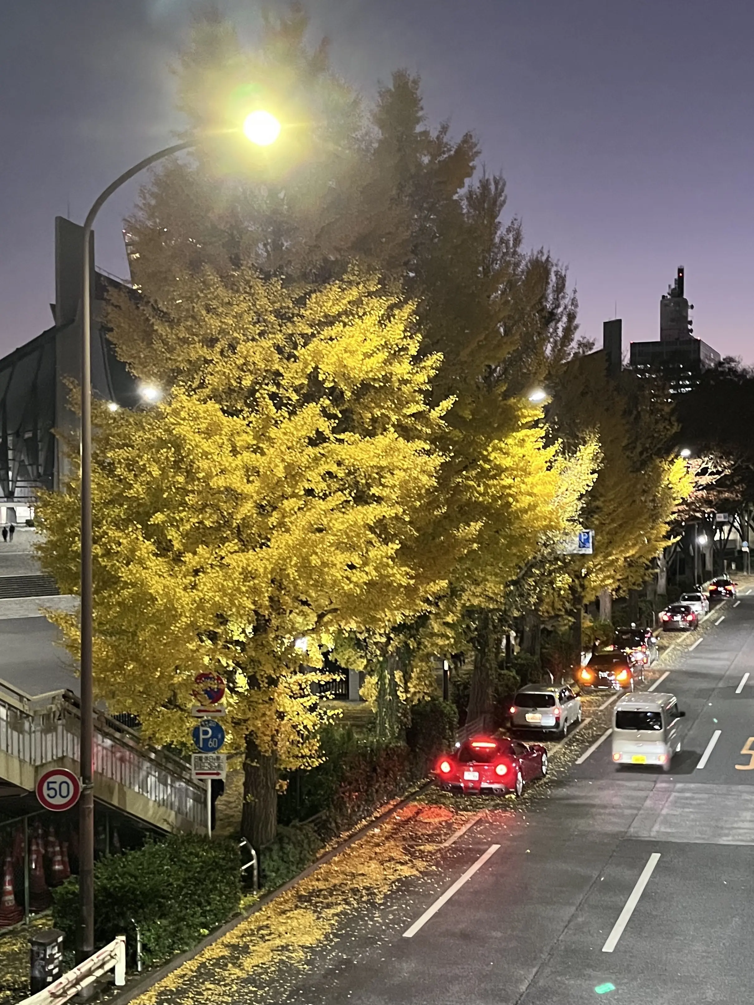 恵比寿でキラキラツリー観賞・夜はLiveで NHKホールへ_1_17