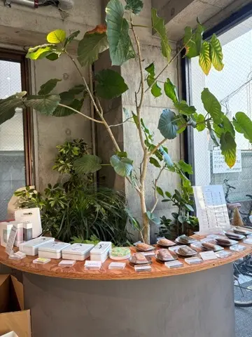 入手困難(？)BON BONS DE K のクッキー缶を求めて茅ヶ崎まで爆走チャリンコ_1_1