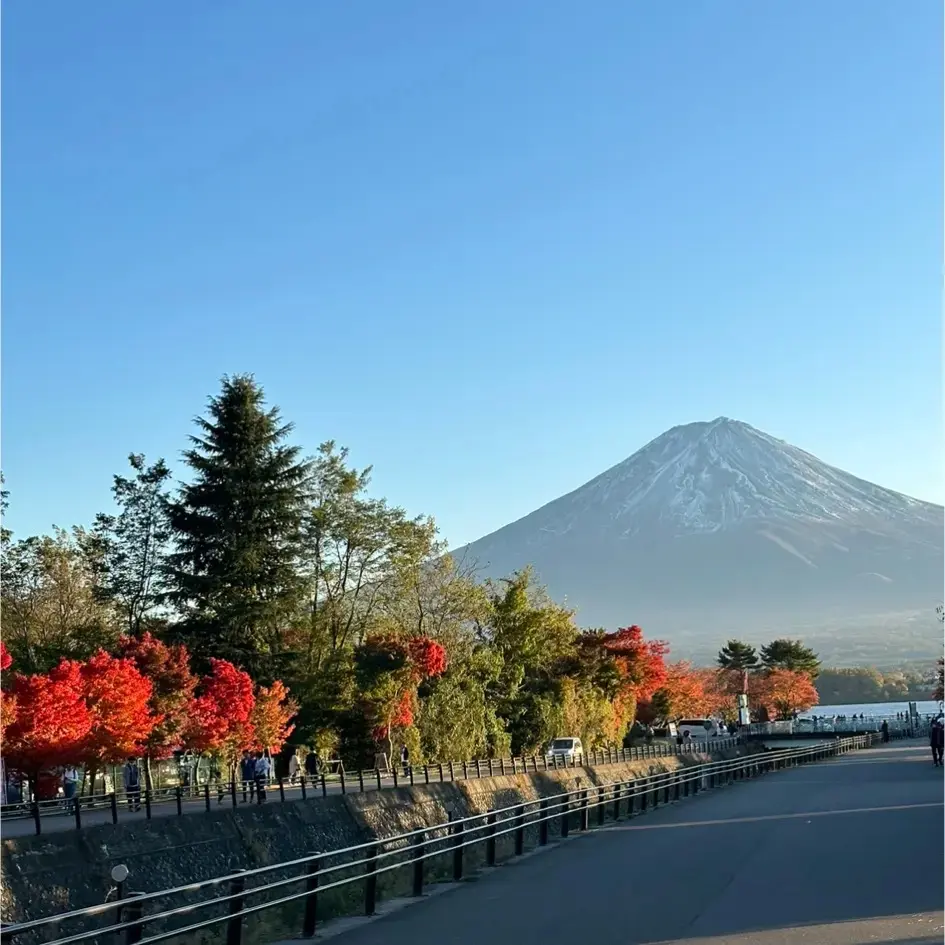 富士山。右下辺りに少し見えているのが河口湖です。