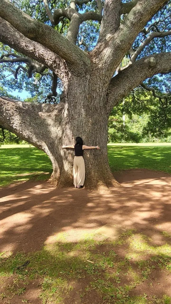 【Hawaii 2025】お出かけスポット色々♡山・海・お土産_1_5-2