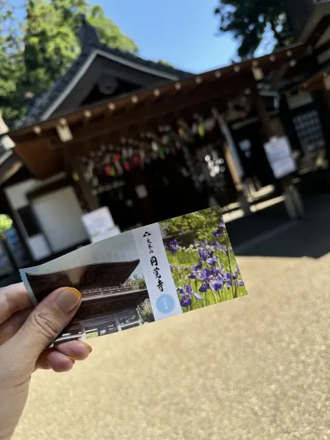 涼を求めて♪鎌倉ランチと風鈴時間。_1_7