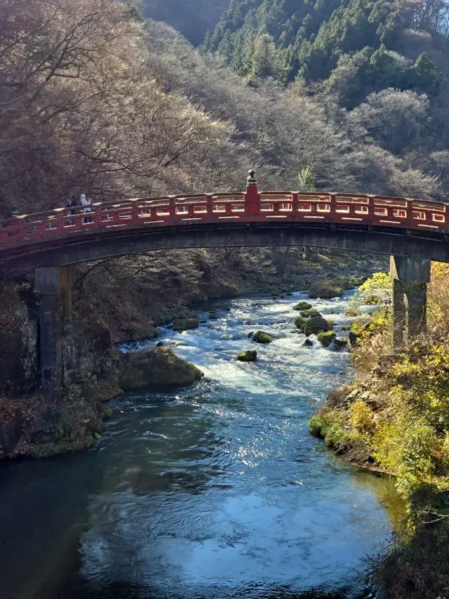 晩秋の日光・宇都宮旅 前編 世界遺産めぐり_1_19