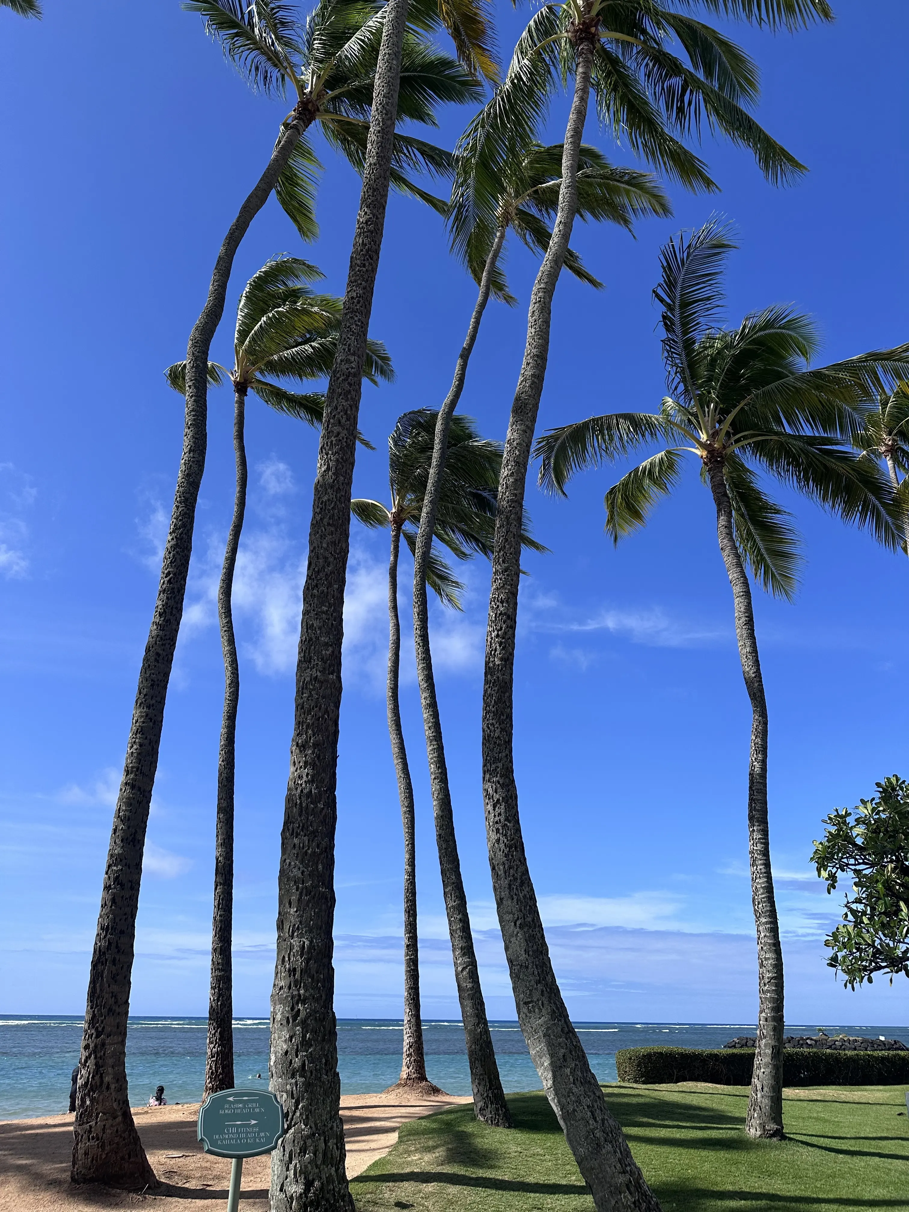 Hawaiiオアフ島へ家族旅行_1_11-2