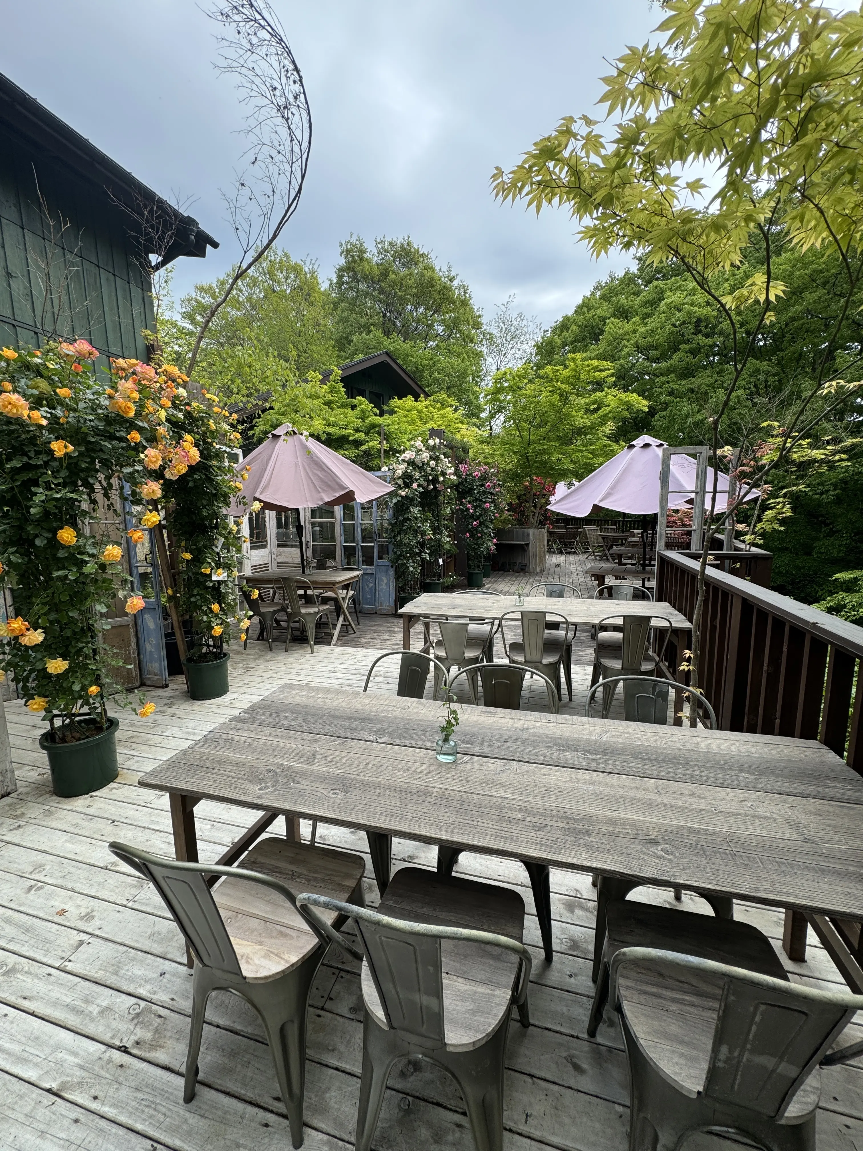 GAFLO CAFE