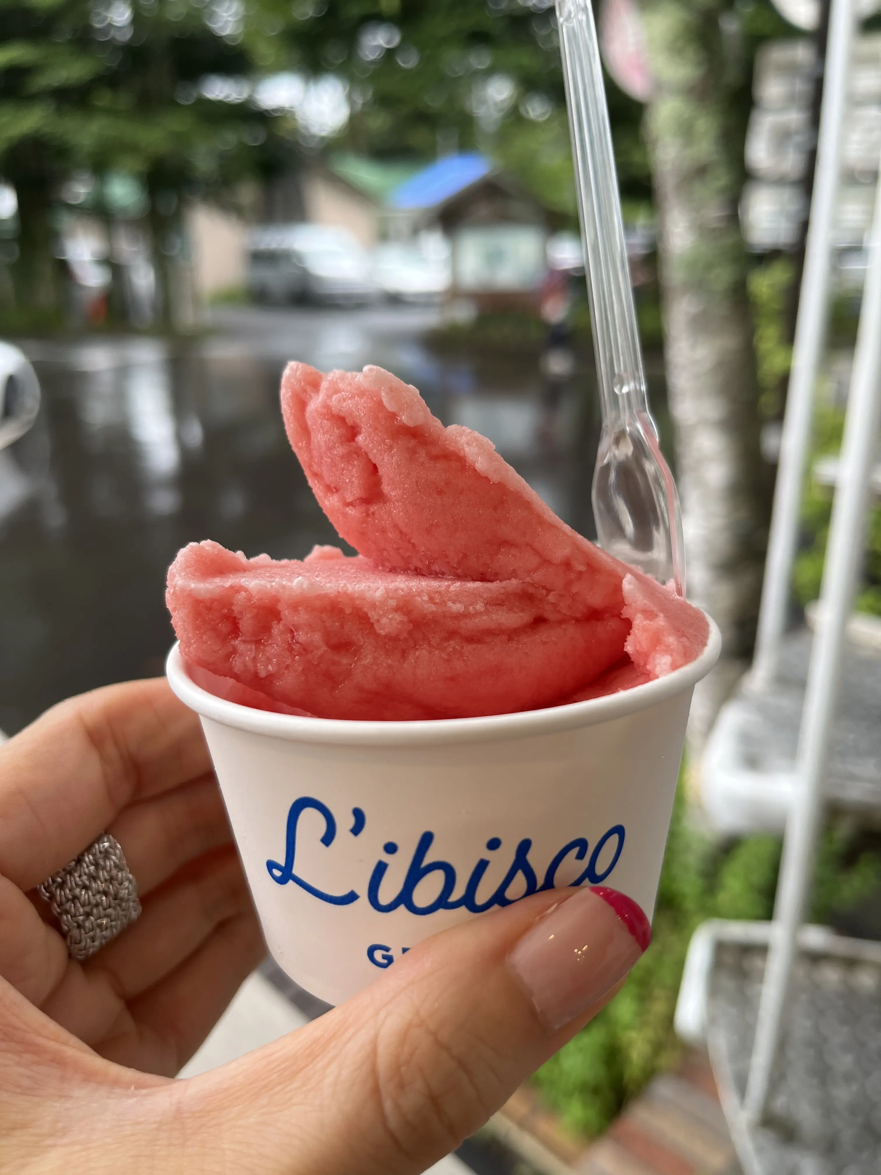 雨の軽井沢へ_1_17