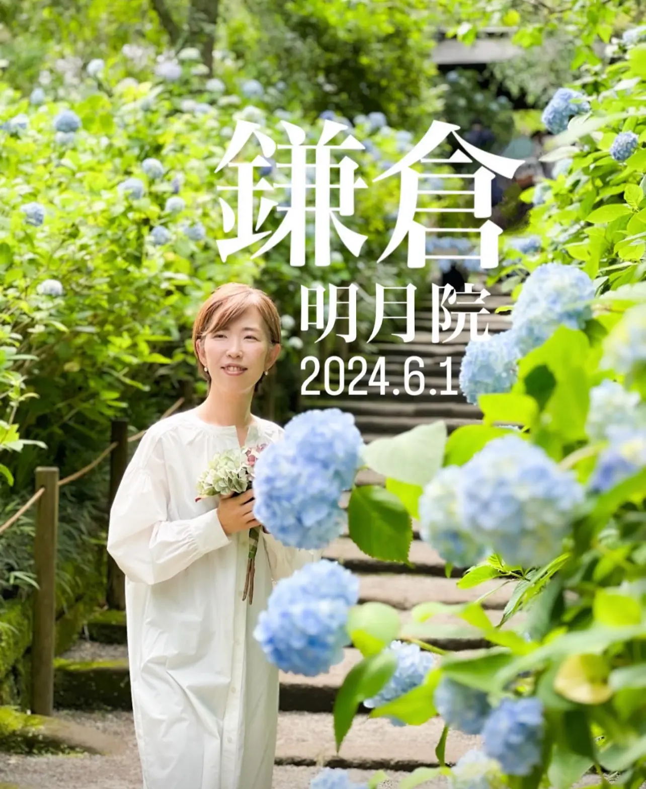 【鎌倉の紫陽花】2025.6.1撮影_1_6