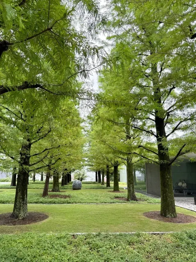 豊田市美術館