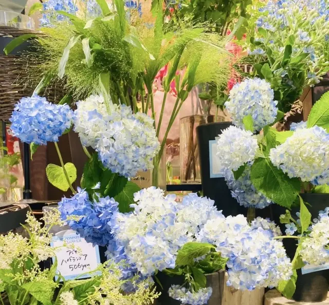 6月6日は紫陽花の日✨初夏のお気に入りホワイトコーデでお出かけ✨_1_3