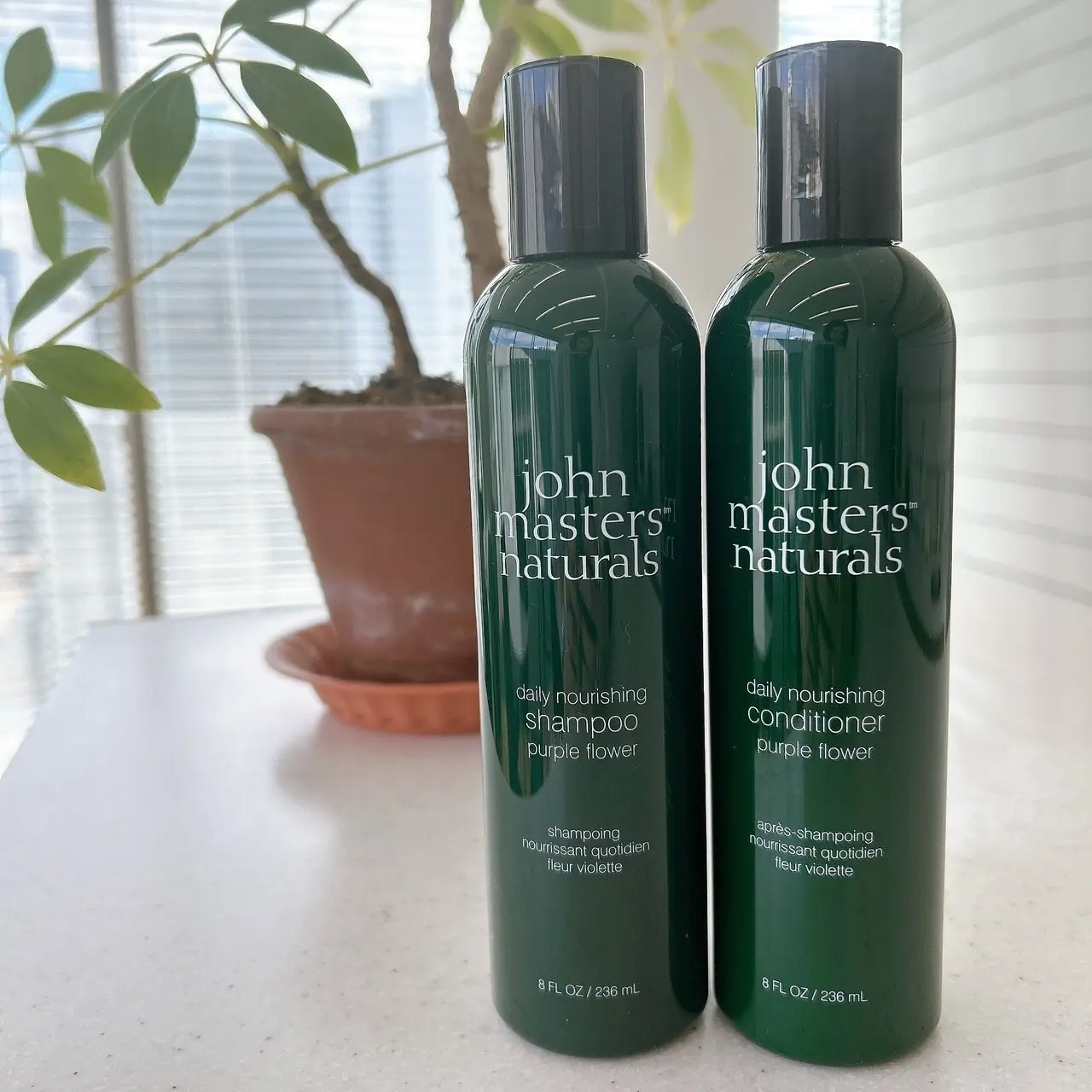 クリスマスコフレ ジョンマスターオーガニック C&Vシャンプー パープルフラワー 236mL、C&Vコンディショナー パープルフラワー