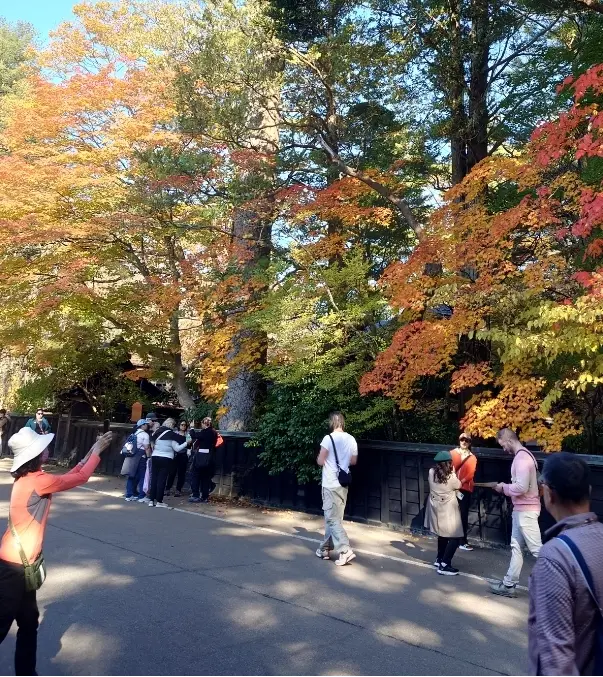 武家屋敷通りの観光客さんたち