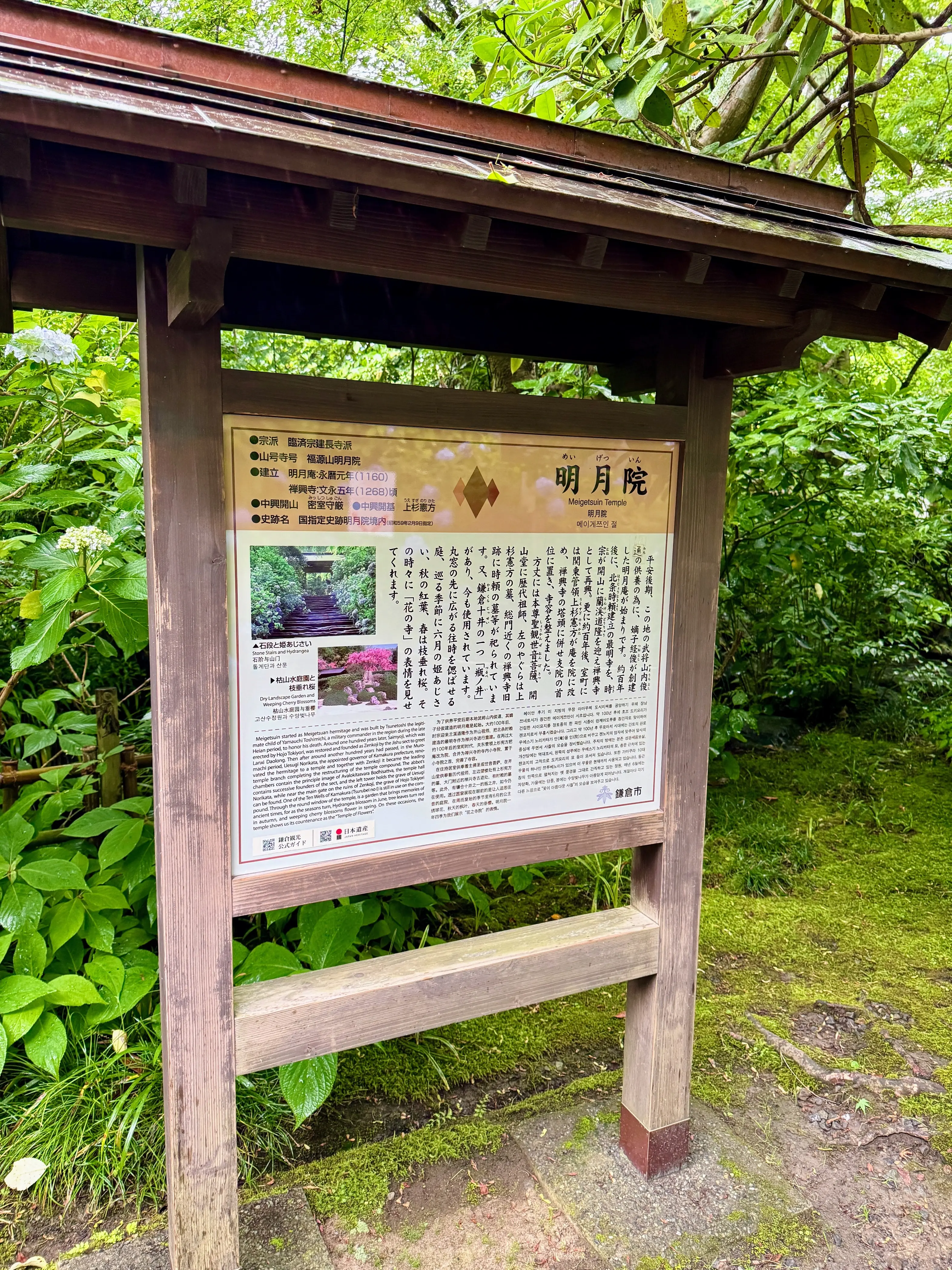 紫陽花の季節、自分で仕立てたお着物で古都鎌倉・明月院へ_1_2