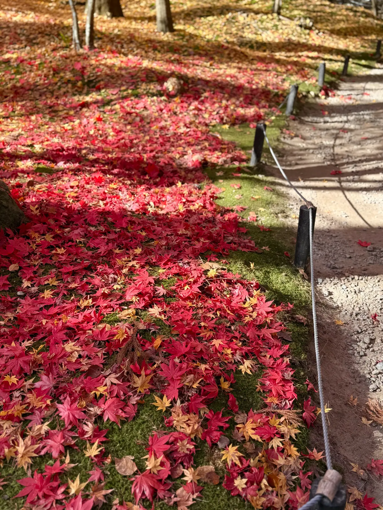 羽織るだけで見た目も気分も華やぐ♪ストールコーディネートで秋のお出かけ_1_21