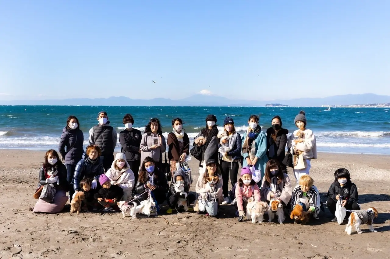 愛犬ミルクと今年最後のビーチクリーン活動の日_1_9