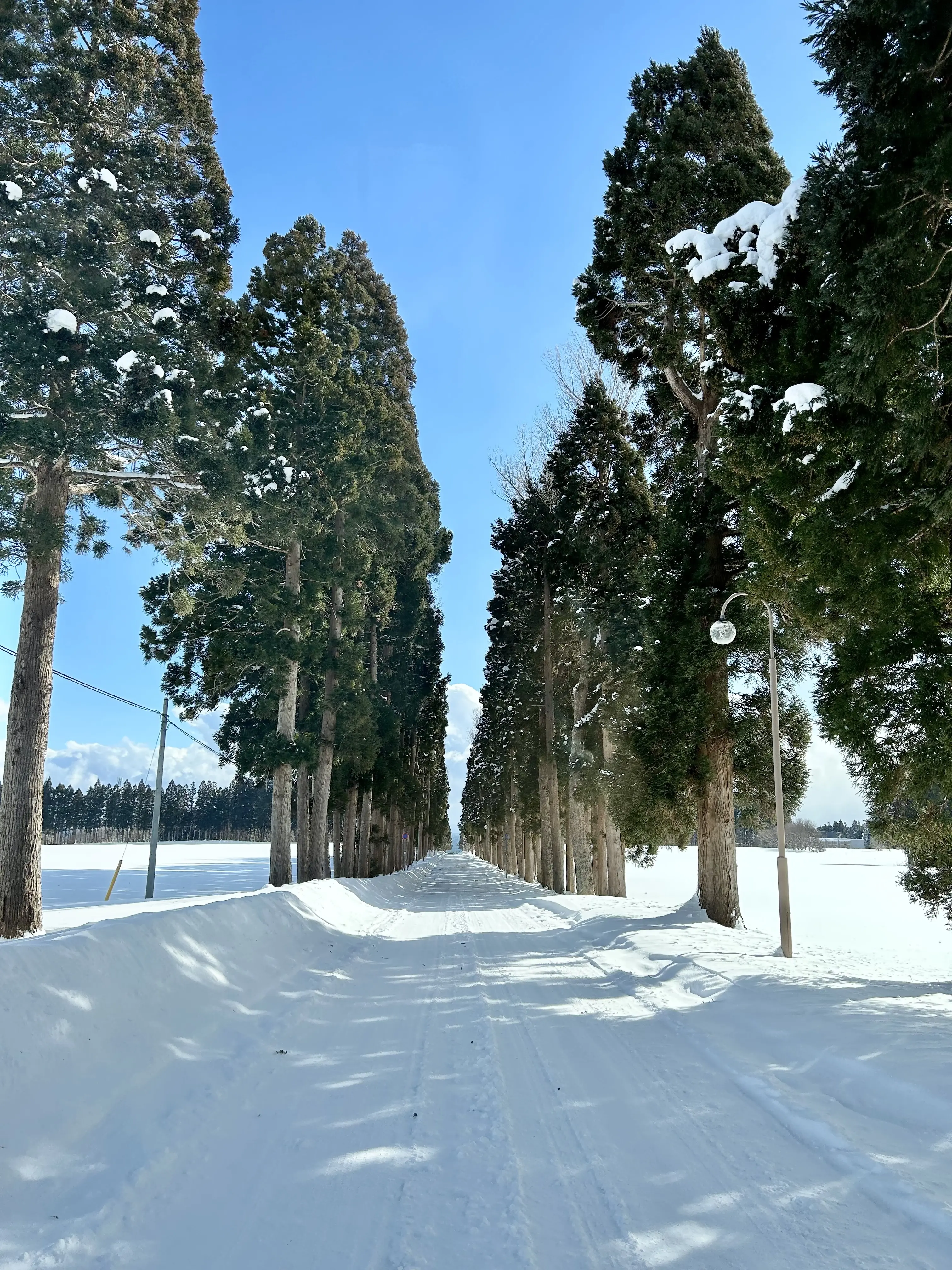 冬の函館夫婦旅Part3_1_2-2