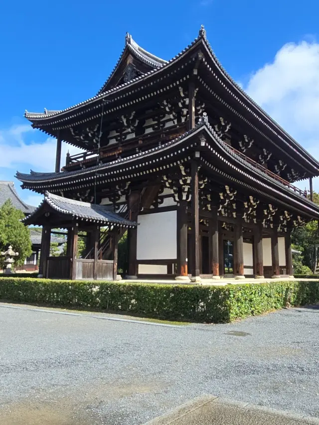 秋の京都ひとり旅・前編 〜弾丸旅の始まりは思い出の場所から〜_1_9