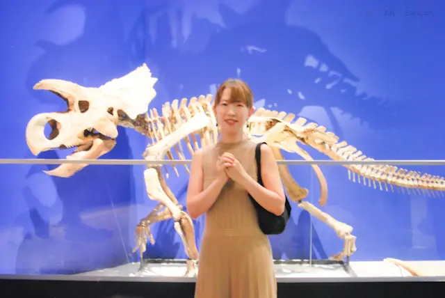 【さかぽんの冒険】ダイナソー🦖に会いに上野へ_1_5