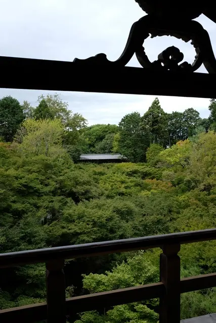 東福寺の通天橋からの眺め
